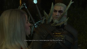 witcher3 2015-05-23 20-50-53-26