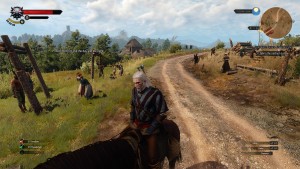 witcher3 2015-05-31 10-41-43-09